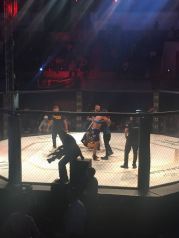 WhatsApp Image 2018-02-25 at 16.43.06