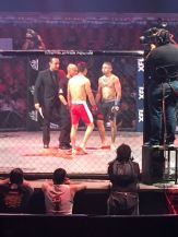 WhatsApp Image 2018-05-13 at 16.30.27 (1)