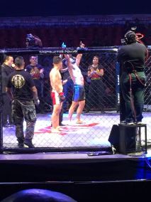 WhatsApp Image 2018-05-13 at 16.30.30