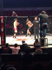 WhatsApp Image 2018-05-13 at 16.30.32