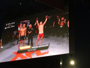 WhatsApp Image 2018-06-03 at 21.56.03