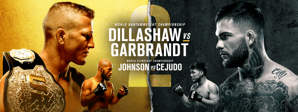 UFC-2018-960x360-Webhero-b3c33fc6d7.png