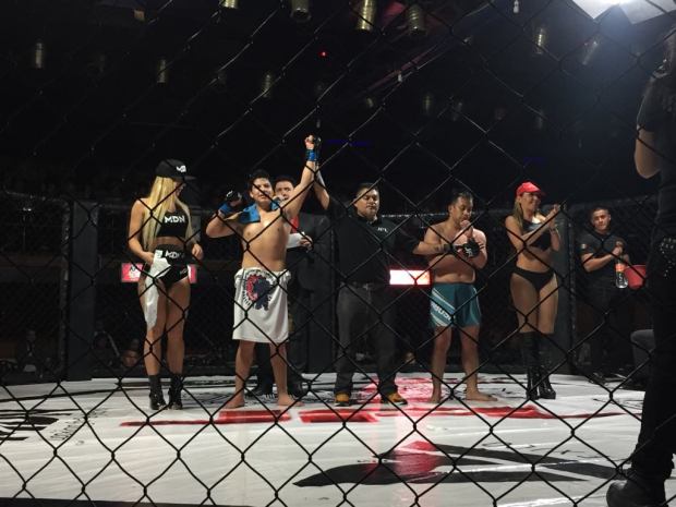 46422865_262232711079530_2887158221317865472_n