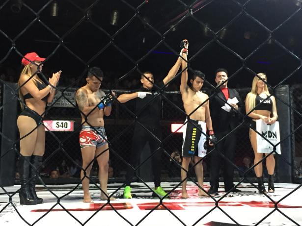 46501033_331557517395363_7783766129574412288_n