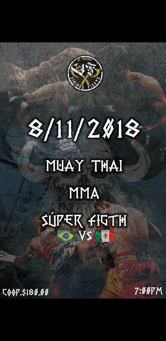 Vikings Fights: Un nuevo&nbsp;inicio.