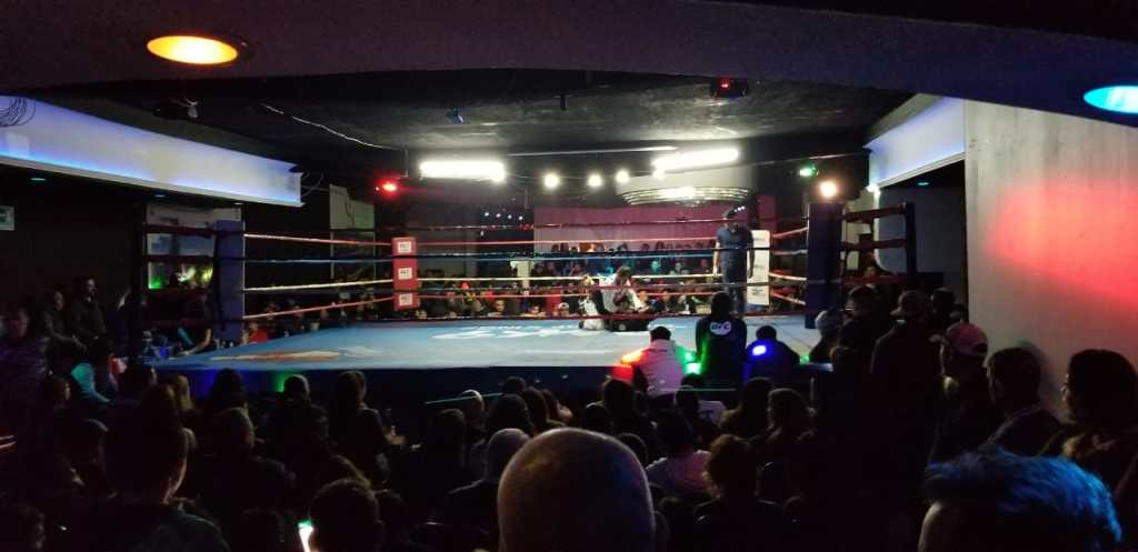 Vikings Fights 2: (Resultados/&nbsp;Results)